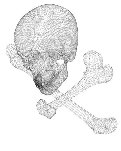 Cranio e ossa — Foto Stock