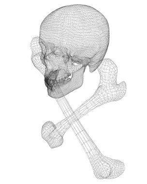 kafatası ve kemikler