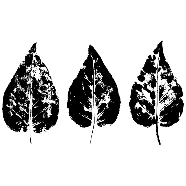 Impronta foglie, stampa fogli — Vettoriale Stock