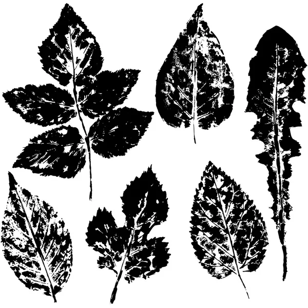 yapraklar baskı, sayfa yazdırma