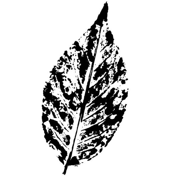 Impronta foglie, stampa fogli — Vettoriale Stock