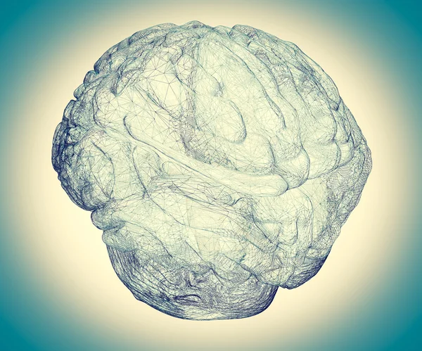 Ludzki mózg 1 — Zdjęcie stockowe