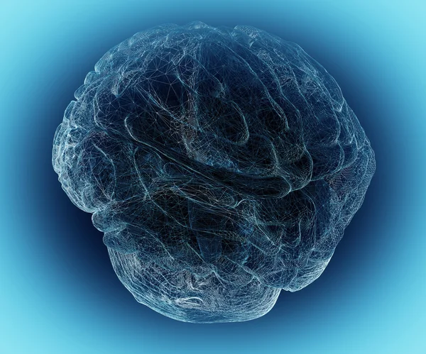 Human brain 1 — Stock Photo, Image