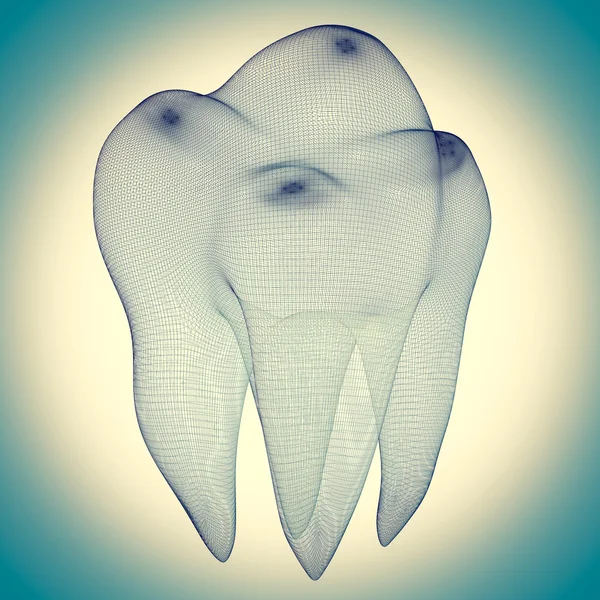 Imagem do dente humano — Fotografia de Stock