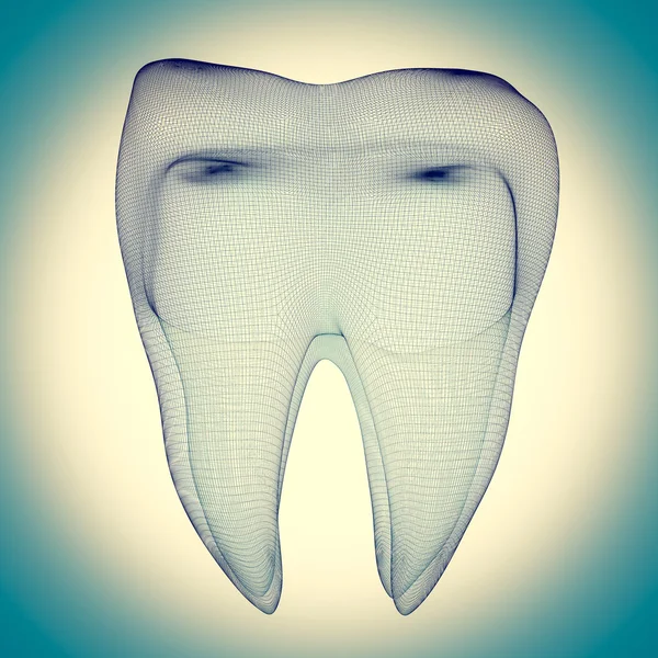 ヒトの歯の画像 — ストック写真