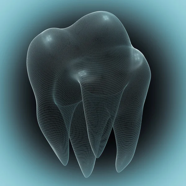 ヒトの歯の画像 — ストック写真