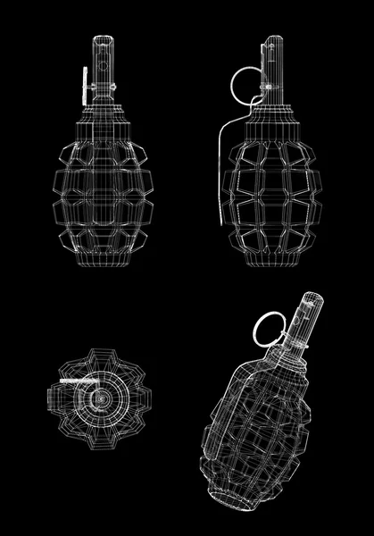Una sola granada con espacio de copia — Foto de Stock