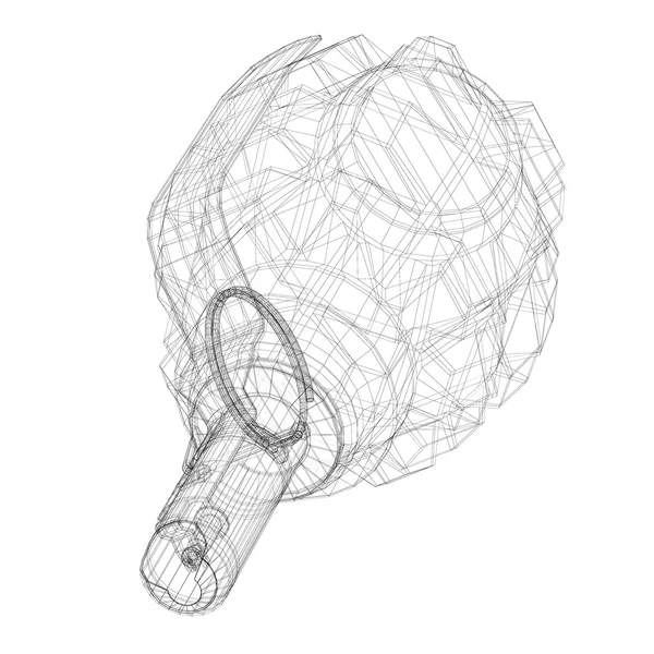 Одиночная граната с копировальным местом — стоковое фото