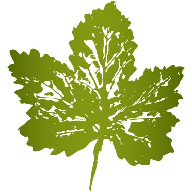 Reaply baskı, sayfa yazdırma