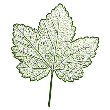 Reaply baskı, sayfa yazdırma