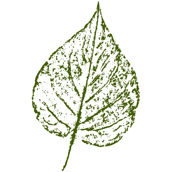 Impresión de hoja, impresión de hoja — Vector de stock