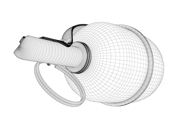 Одиночная граната с копировальным местом — стоковое фото