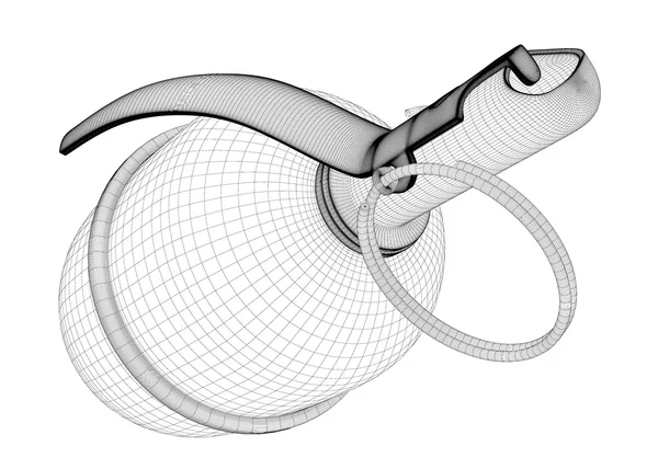 Одиночная граната с копировальным местом — стоковое фото