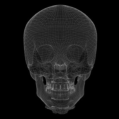 Kafatası ve Servikal Omurga