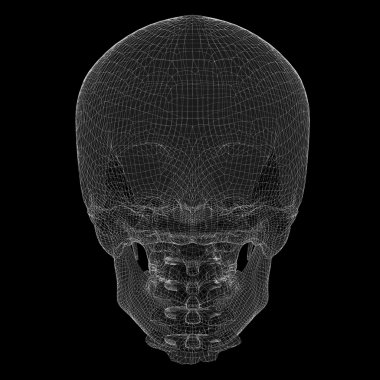 Kafatası ve Servikal Omurga