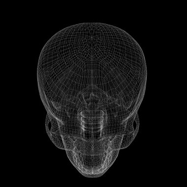 Kafatası ve Servikal Omurga