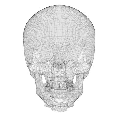 Kafatası ve Servikal Omurga