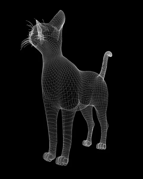 Cat model — Stock Photo, Image