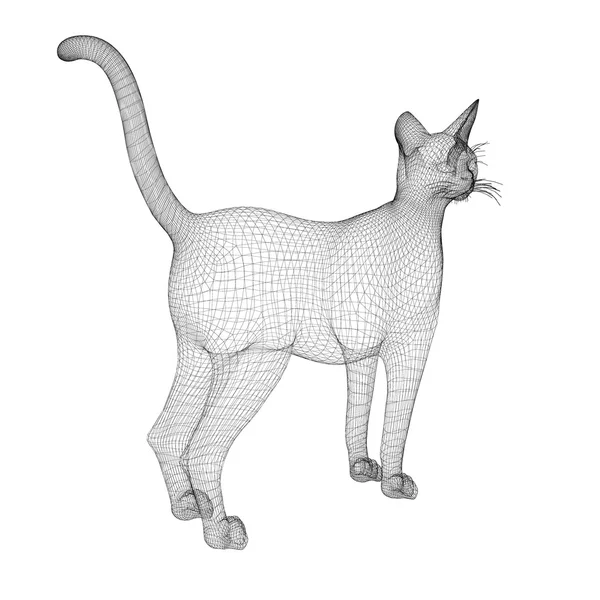 Cat model — Stock Photo, Image