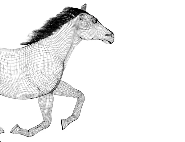 Kör häst — Stockfoto