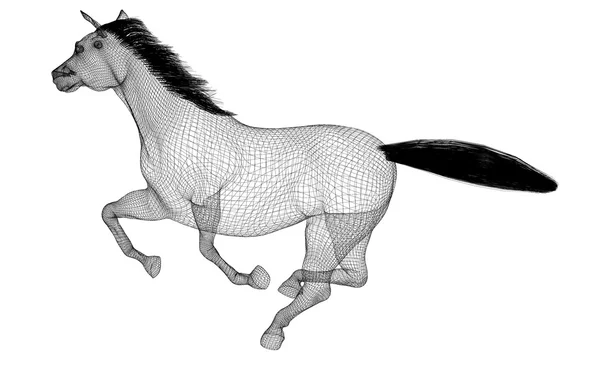 Cavallo in corsa — Foto Stock