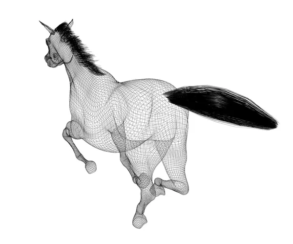 Konia — Zdjęcie stockowe