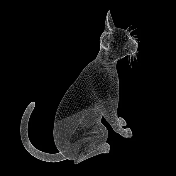 고양이 와이어 모델 — 스톡 사진