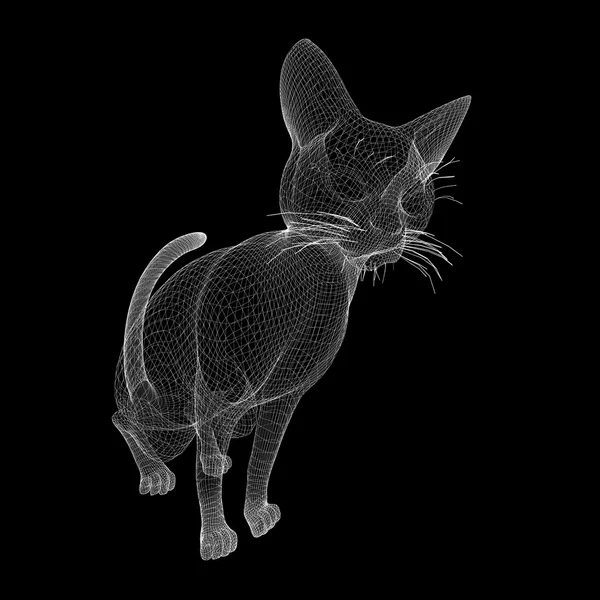 Kot drutu modelu — Zdjęcie stockowe