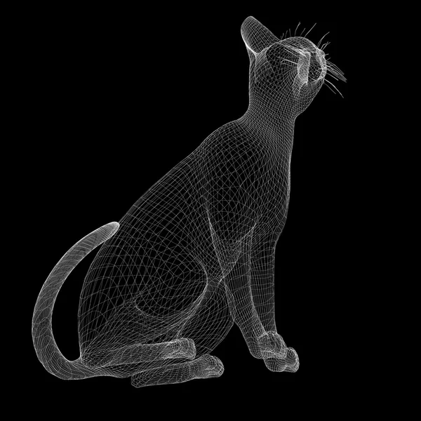 Modello di filo gatto — Foto Stock