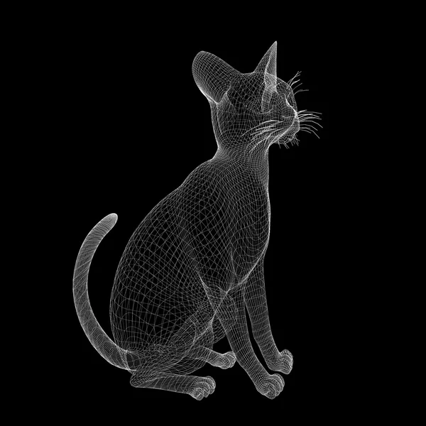 Cat wire model — Stock Photo, Image