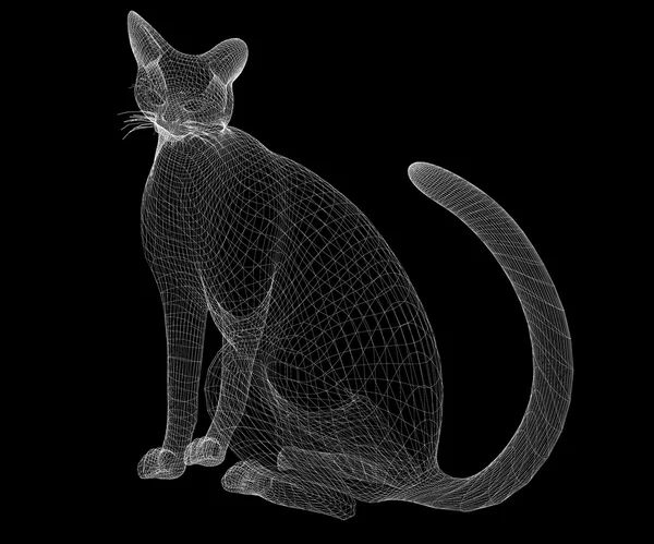 Cat wire model — Stock Photo, Image