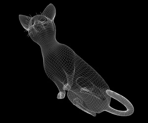 猫のワイヤー モデル — ストック写真