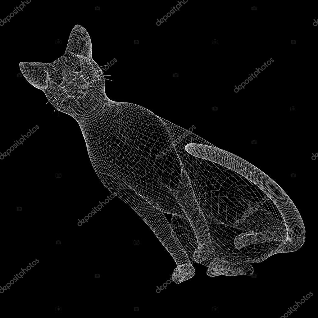 Modele De Fil De Chat Image Libre De Droit Par Podsolnukh C Modele De Fil De Chat Image Libre De Droit Par Podsolnukh C