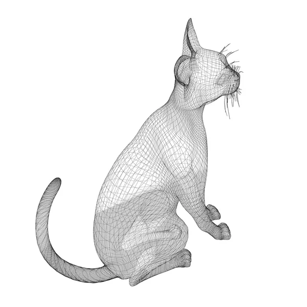 Kot drutu modelu — Zdjęcie stockowe