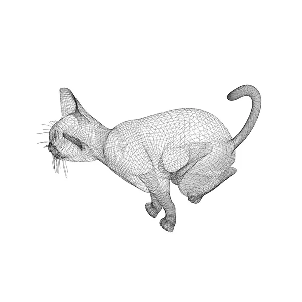 Cat wire model — Stock Photo, Image