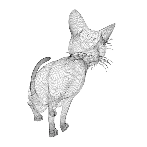 Cat wire model — Stock Photo, Image