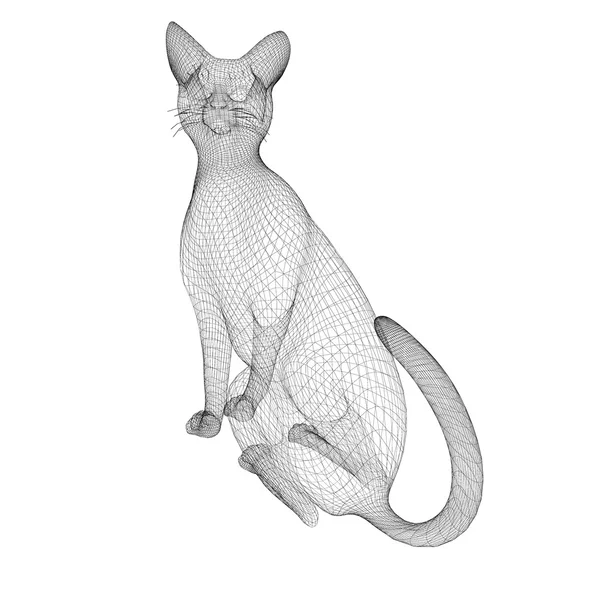 Cat wire model — Stock Photo, Image