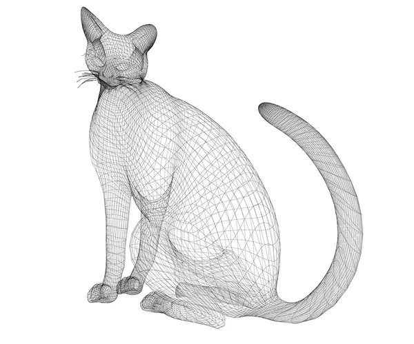 猫咪线模型 — 图库照片