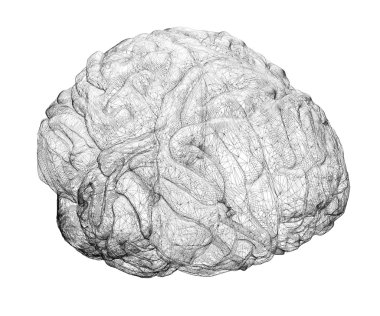 human brain  clipart