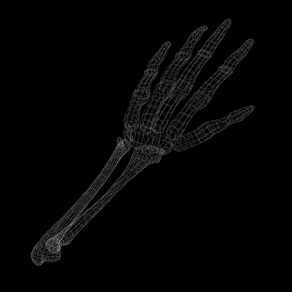 Mänsklig hand skelettet — Stockfoto