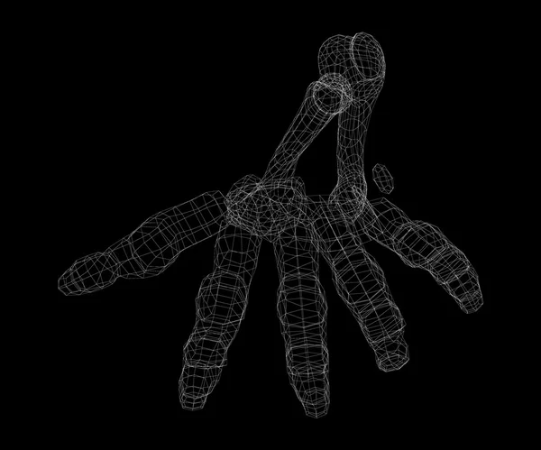Scheletro della mano umana — Foto Stock