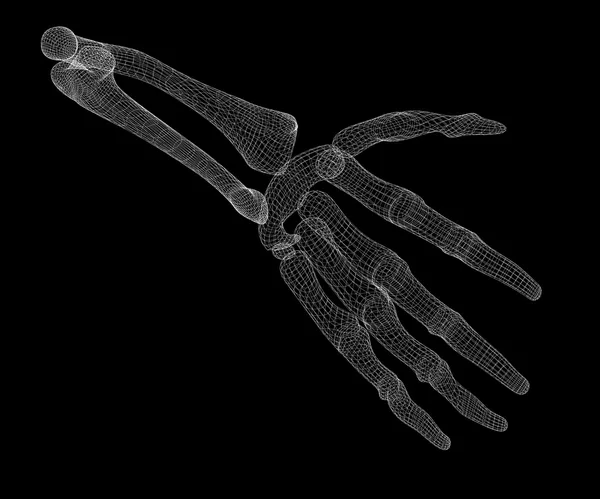 Menselijke hand skelet — Stockfoto