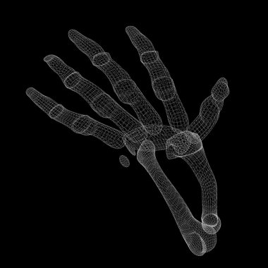 İnsan eli iskelet