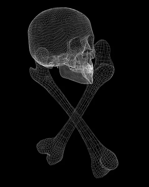 Lebka a kosti — Stock fotografie