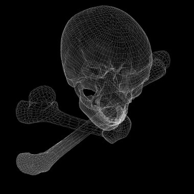 kafatası ve kemikler