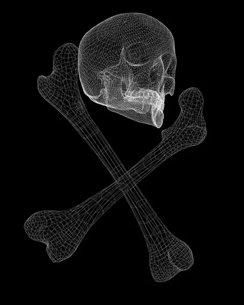 Cranio e ossa — Foto Stock