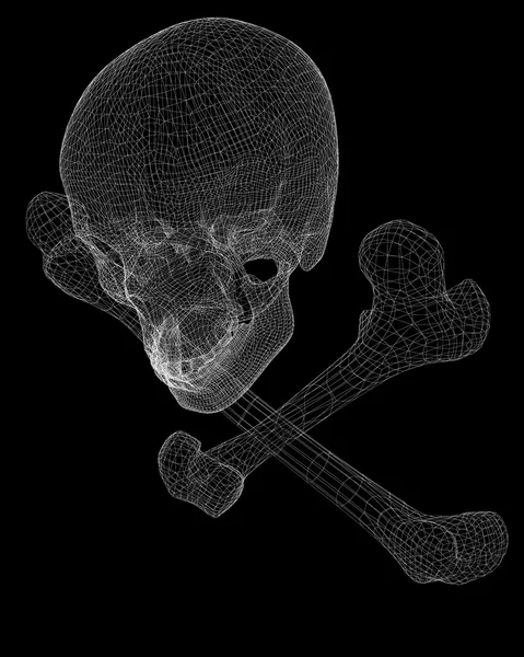 두개골 과 뼈 — 스톡 사진