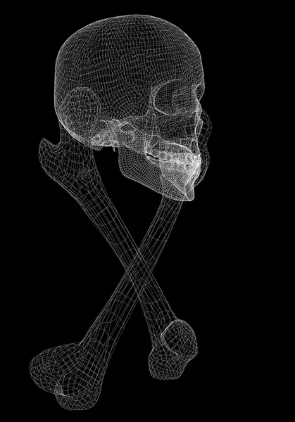 두개골 과 뼈 — 스톡 사진