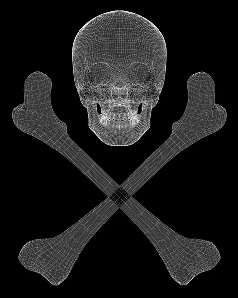 Skull and Bones — Stock Photo, Image