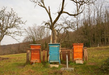 Arı kovanları karada.